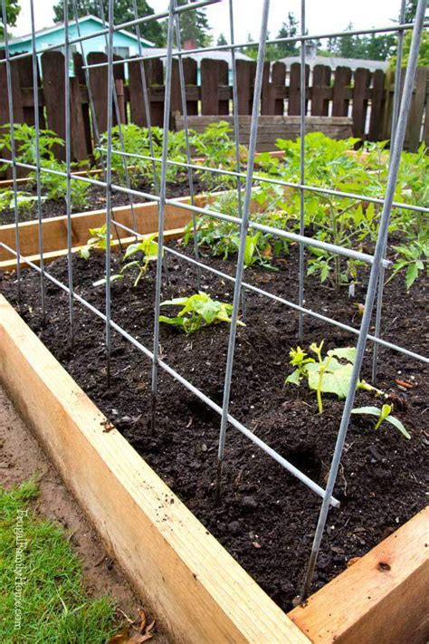 diy garden stakes|make your own inexpensive trellis.